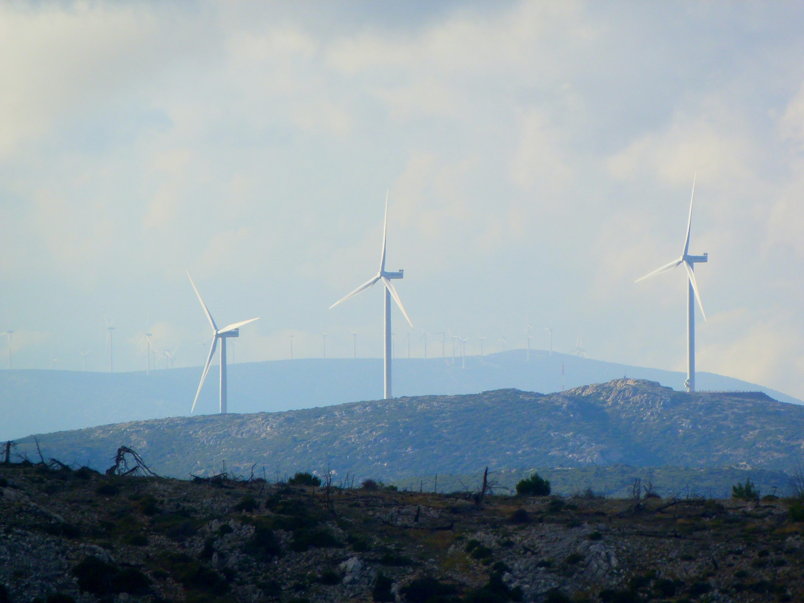 5 pathways to the materiality of ESG factors